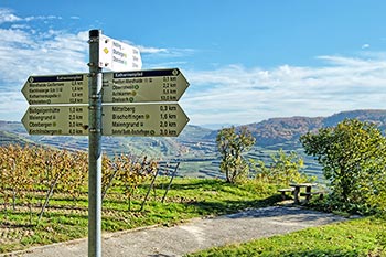 Wandern am Kaiserstuhl